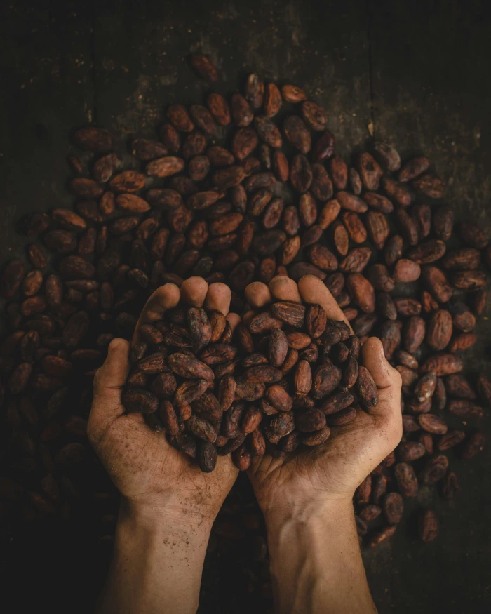 photo de Salon du Cacao et de la Transformation Locale